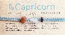 Capricorn 2.webp