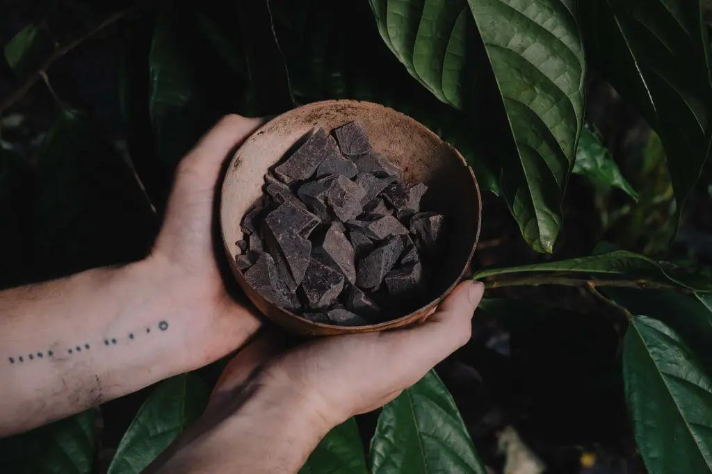 Copy of DSCF5334.webp