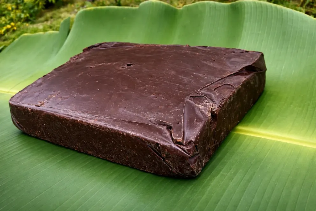Ritual-Grade Cacao Mass – 10 kg Block (organic)