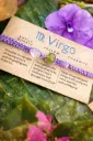 ♍ Virgo – Almarte Community Bracelet