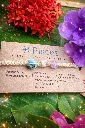 ♓ Pisces – Almarte Community Bracelet